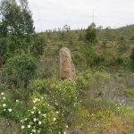 El sitio megalítico de La Torre La Janera en Huelva VOCES DE BRONCE Y