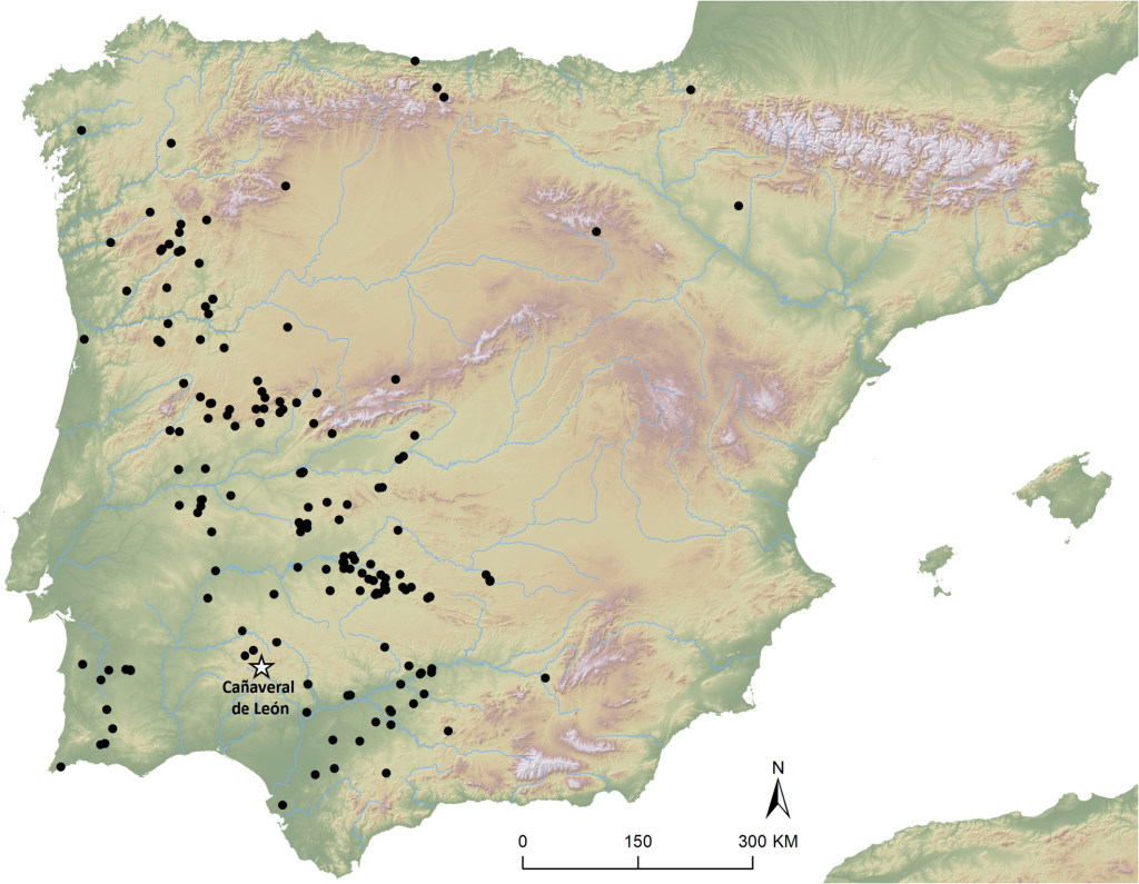 Mapa de dispersión de las estelas del suroeste, indicando el emplazamiento de Cañaveral de León y el yacimiento de Las Capellanías.